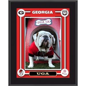University of Georgia bulldog memorabilia